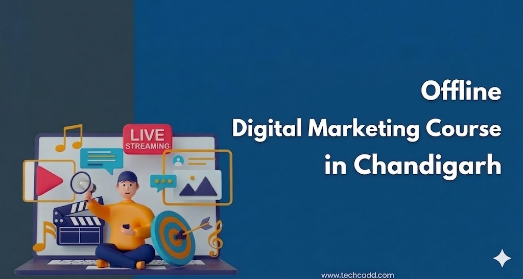 Offline Digital Marketing Course in Chandigarh